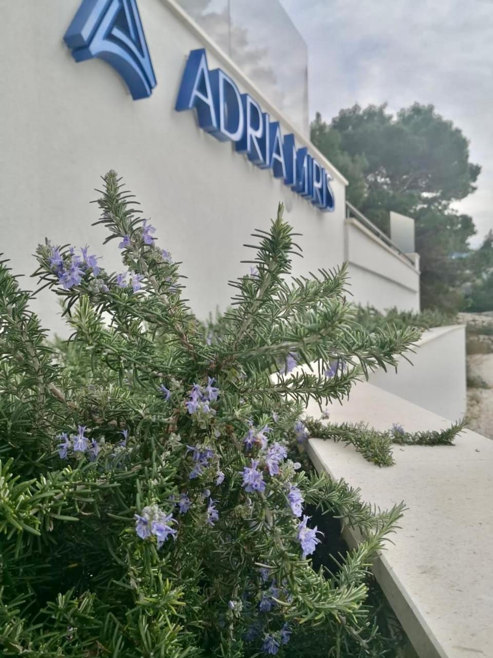 Adria Miris Apartments Drasnice Esterno foto